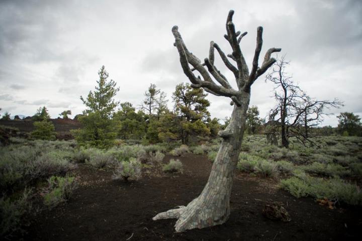 Craters of the Moon Cave Trail - Idaho