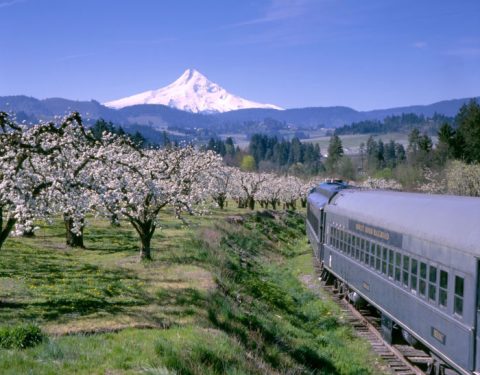 You’ll Absolutely Love A Ride On Oregon’s Majestic Mountain Train This Summer