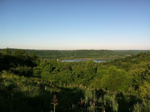 15 Amazing Cincinnati Hikes Under 3 Miles You'll Absolutely Love