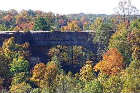 One Of The Oddest Geological Wonders Is Located Right Here In Kentucky