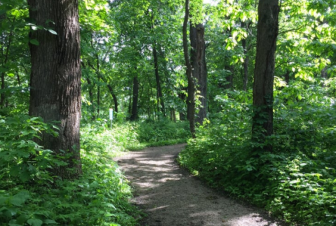 This Just Might Be The Most Underrated Hike In All Of Iowa