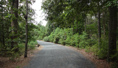 This Just Might Be The Most Underrated Hike In All Of Delaware