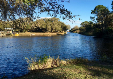 The Underrated Florida Lake That's Perfect For A Summer Day