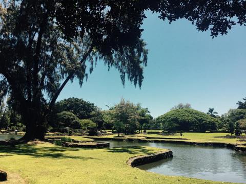 The Winding Path Through This Hawaii Park Is Positively Enchanting
