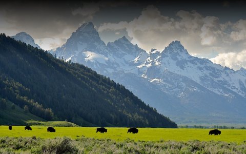 This Epic Wyoming Wild West Safari Belongs On Your Bucket List