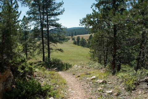 Here Are The 7 Best Hikes In South Dakota's Wind Cave National Park