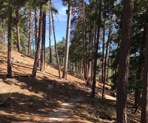 This Just Might Be The Most Underrated Hike In All Of Arizona