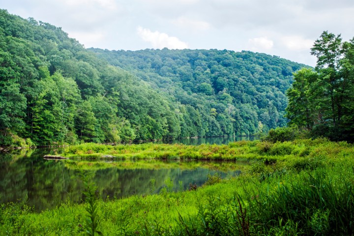 Laurel Hill State Park beach