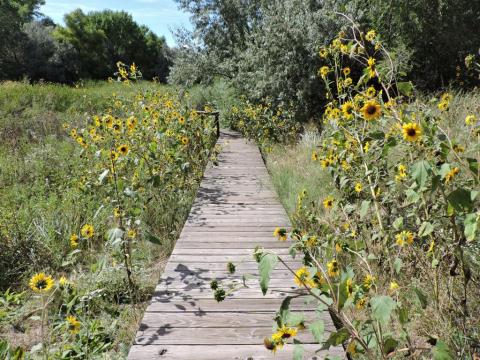 8 Amazing New Mexico Hikes Under 3 Miles You'll Absolutely Love