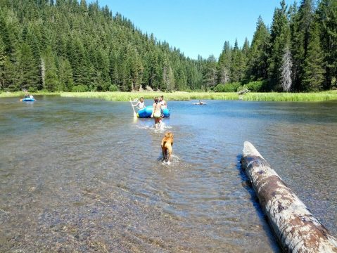 These Lazy Rivers In Nevada Are Perfect For Tubing On A Summer’s Day