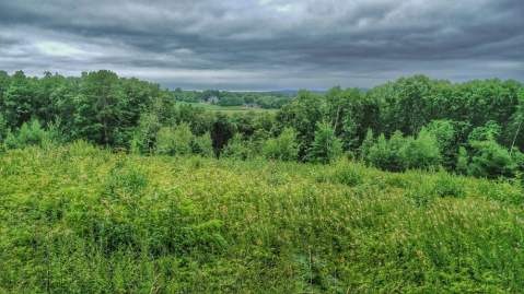 The Hiking Trail Hiding In Massachusetts That Will Transport You To Another World