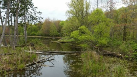 8 Incredible Hikes Under 5 Miles Everyone Around Buffalo Should Take