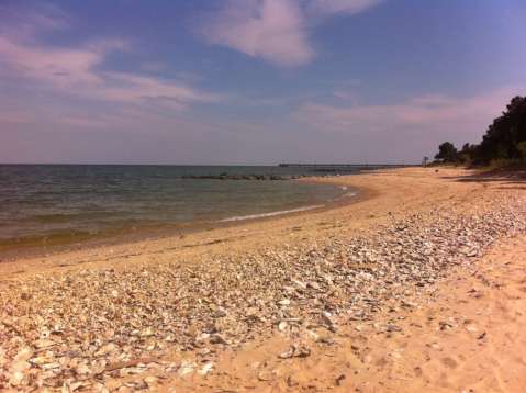 The Beach Near Washington DC That’s Unlike Any Other In The World