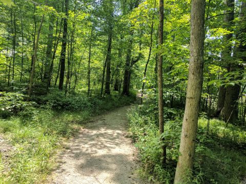 9 Incredible Hikes Under 5 Miles Everyone Around Detroit Should Take