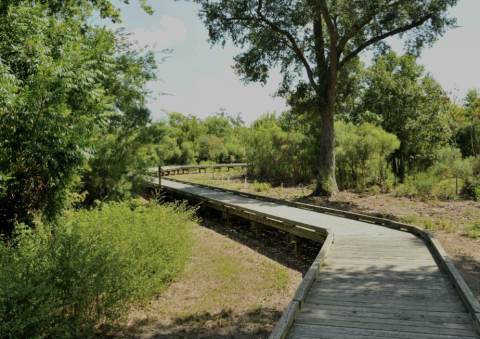 The Beauty Of This Louisiana Boardwalk Trail Will Leave You Speechless