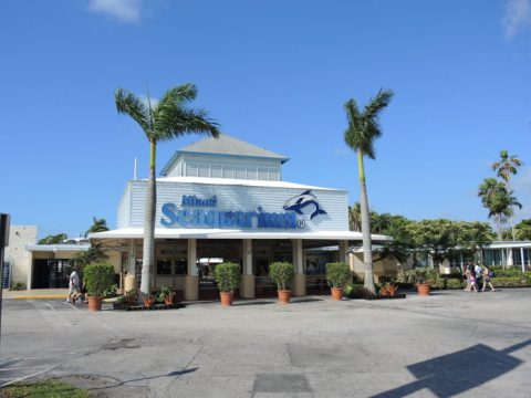 Walk Underwater At This Incredible Aquarium Attraction In Florida