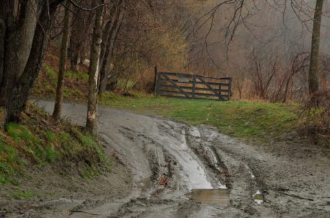 11 Phrases That Will Make You Swear Vermonters Have Their Own Language