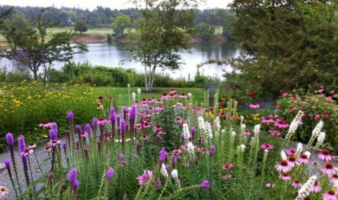 You’ll Want To Plan A Day Trip To Maine’s Magical Butterfly House