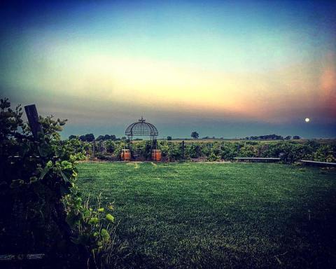 The Remote Winery In Wyoming That's Picture Perfect For A Day Trip