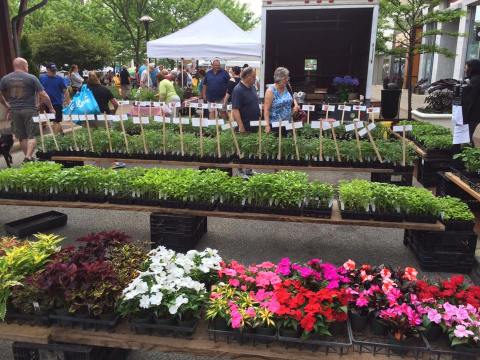 Everyone In Cleveland Must Visit This Epic Farmers Market At Least Once