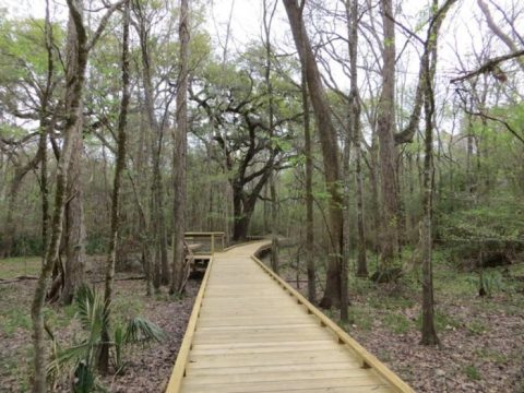 This Epic Louisiana Nature Park Is Perfect For Adventure Seekers