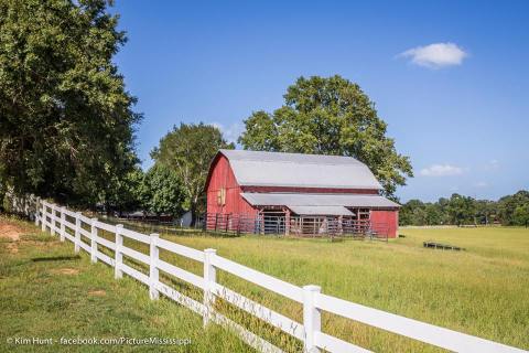 12 Picturesque Farms That Prove Just How Charming Rural Mississippi Really Is