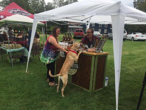 These 10 Incredible Farmers Markets in Connecticut Are A Must Visit