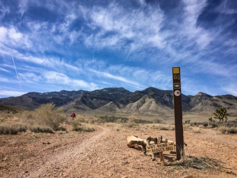 The Gorgeous Collection Of Scenic Bike Trails In Nevada You Have To Take