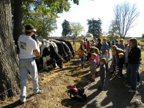 The World's Best Chocolate Milk Can Be Found Right Here In Tennessee