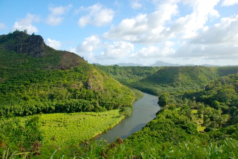 The Riverboat Cruise In Hawaii You Never Knew Existed