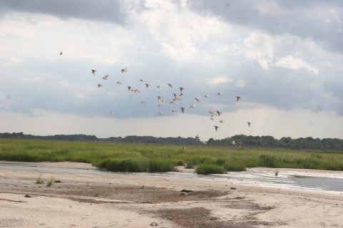 The Top Secret Beach In Delaware That Will Make Your Summer Complete