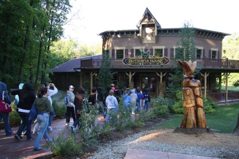 You’ll Want To Plan A Summer Day Trip To Ohio’s Magical Butterfly House