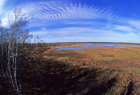 The Wisconsin Wildlife Safari That's Perfect For A Family Day Trip