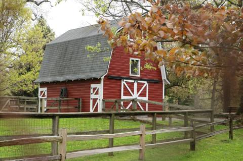 These 7 Petting Zoos In Illinois Are Fun For The Whole Family