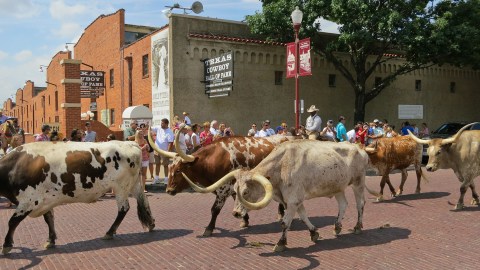 7 Inexpensive Road Trip Destinations From Austin That Won’t Break The Bank