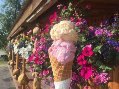 This Roadside Ice Cream Shop In Alaska Is One Of A Kind