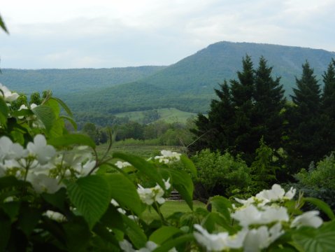 This Hidden Sanctuary Is One Of Virginia's Best Kept Secrets