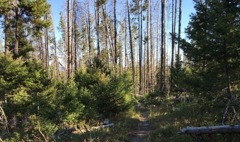 The Haunted Hike In Montana That Will Send You Running For The Hills