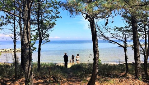 The Top Secret Beach In Maryland That Will Make Your Summer Complete