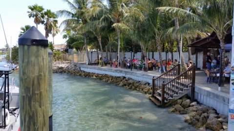 The Tropical Themed Restaurant In Florida You Must Visit Before Summer's Over