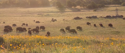 There's No Other Park In America Quite Like This One In Kansas