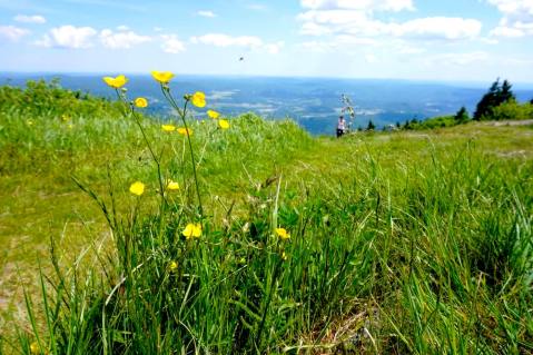 The Massachusetts Park That Will Make You Feel Like You Walked Into A Fairy Tale