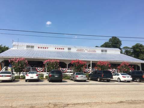 The Ice Cream From This Georgia Farm Will Make Your Summer Complete