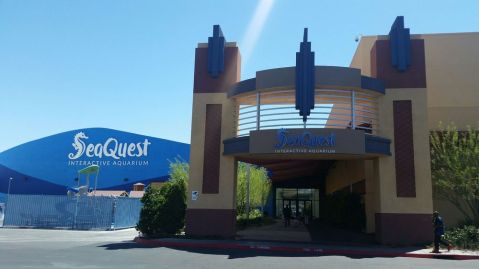 Explore A Magical Underwater Kingdom At This Amazing Nevada Interactive Aquarium