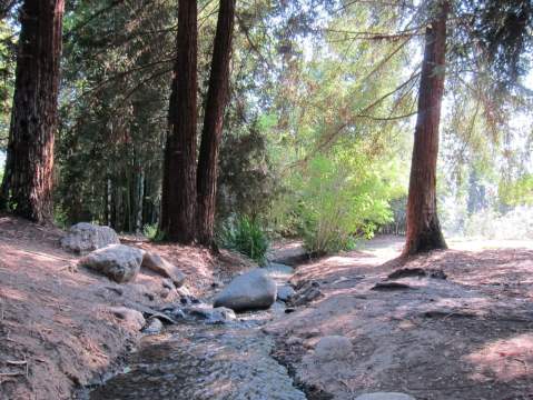 A Stroll Through This Little-Known Natural Oasis In Southern California Is The Perfect Way To Spend A Summer Day