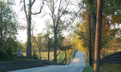 You Won't Believe Everything You'll Find Along This Classic Kentucky Road