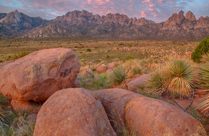 Organ Mountains