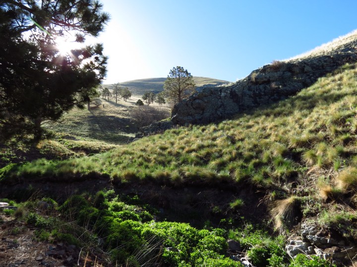 White Mountain Wilderness