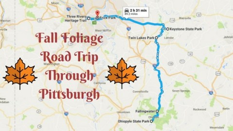 This Dreamy Road Trip Will Take You To The Best Fall Foliage In All Of Pittsburgh