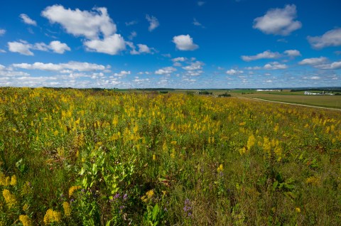 The Wisconsin Park That Will Make You Feel Like You Walked Into A Fairy Tale